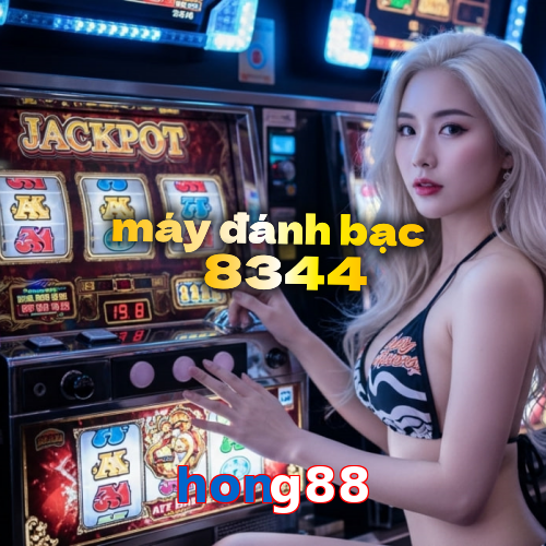 hong88